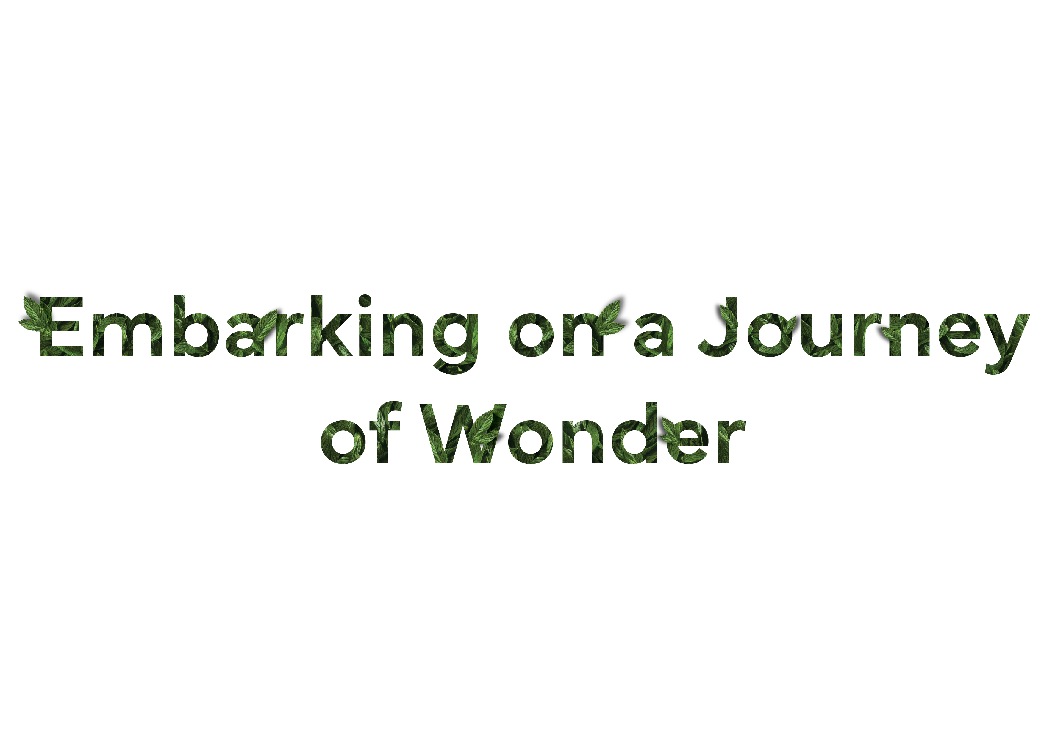 Embarking on a Journey of Wonder.png